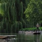 Midsummer 2