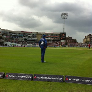 Swann