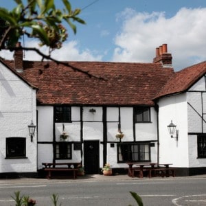 bray