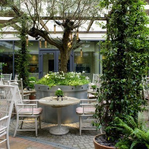 hoxton grill