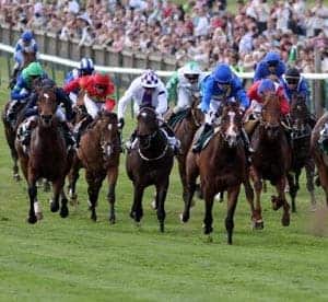 Horse-Racing---The-stanja-001